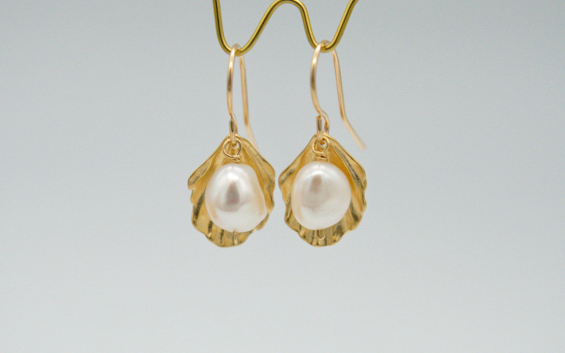 Goldene Muschel Ohrringe mit Süsswasser-Perle